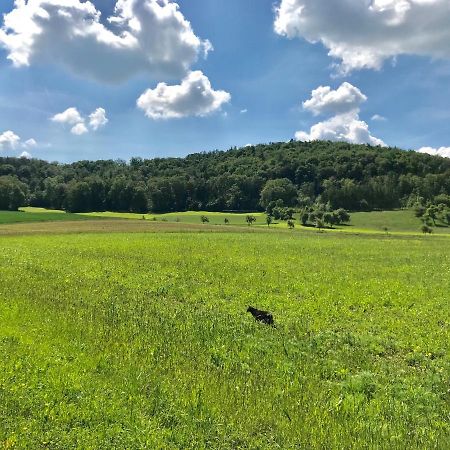 Appartment Ivonete Wettringen  Bagian luar foto