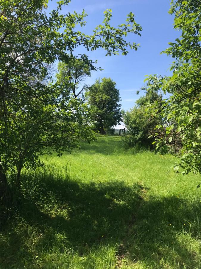 Appartment Ivonete Wettringen  Bagian luar foto