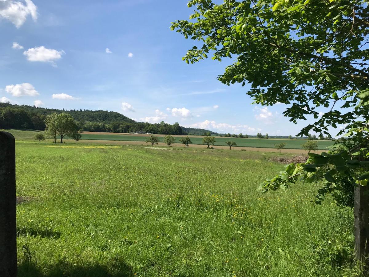 Appartment Ivonete Wettringen  Bagian luar foto
